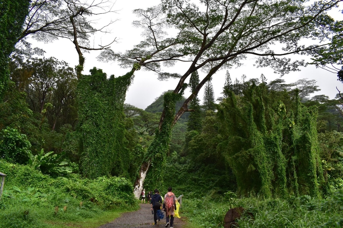f:id:runners-honolulu:20190502235555j:plain f:id:runners-honolulu:20190502235555j:plain