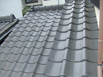 f:id:running_penguin:20100629235652j:image