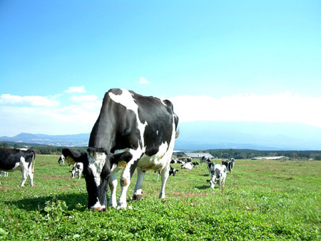 f:id:running_penguin:20120909112202j:image