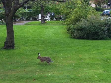 f:id:running_penguin:20130908160740j:image f:id:running_penguin:20130908160740j:image