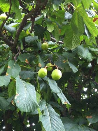 f:id:running_penguin:20130908160742j:image f:id:running_penguin:20130908160742j:image