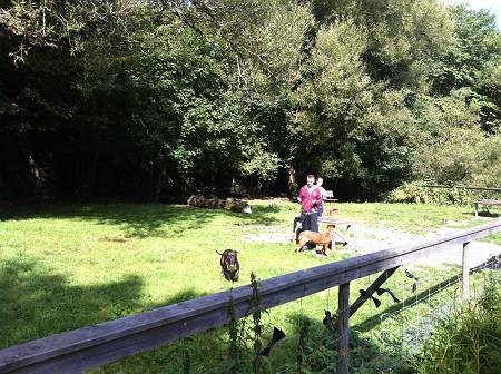 f:id:running_penguin:20130908175405j:image f:id:running_penguin:20130908175405j:image