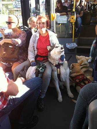 f:id:running_penguin:20130910191455j:image f:id:running_penguin:20130910191455j:image