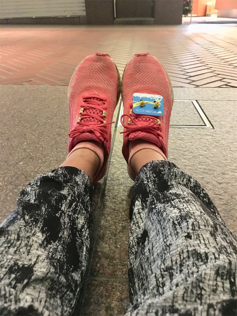 f:id:runningdiary:20181115134927j:image
