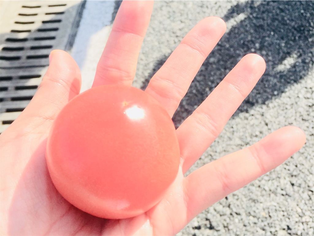 f:id:runningdiary:20181120150123j:image