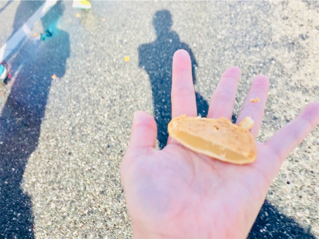 f:id:runningdiary:20181120150140j:image