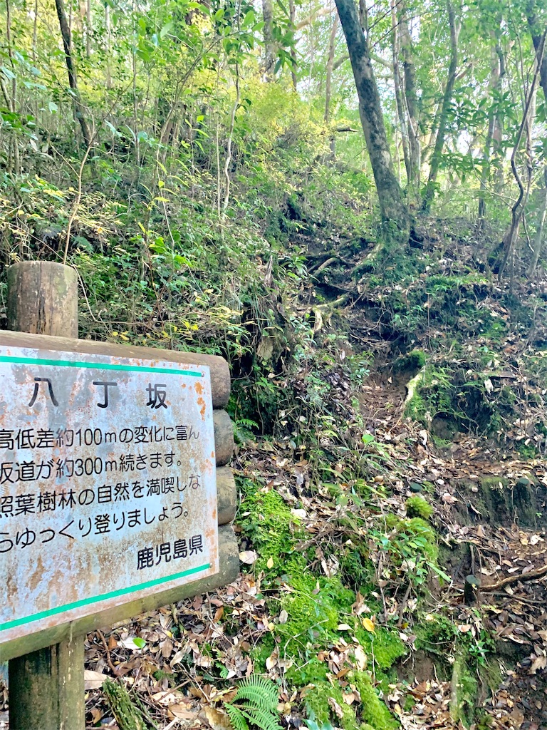 f:id:runningdiary:20181129182416j:image f:id:runningdiary:20181129182416j:image