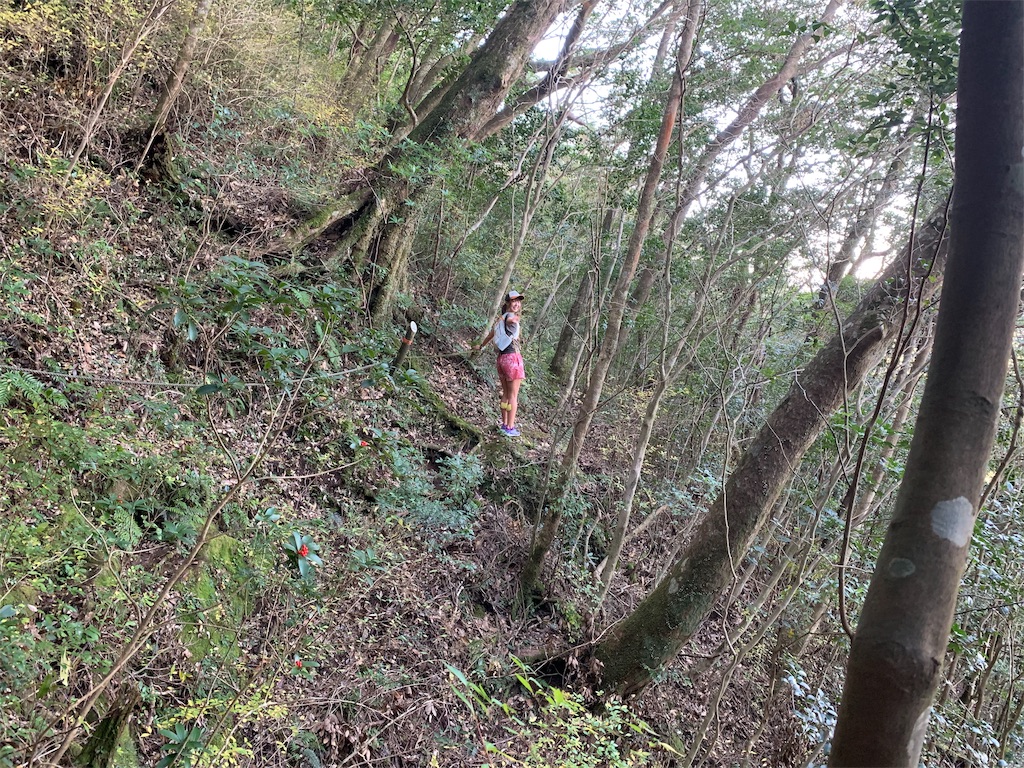 f:id:runningdiary:20181129194422j:image f:id:runningdiary:20181129194422j:image
