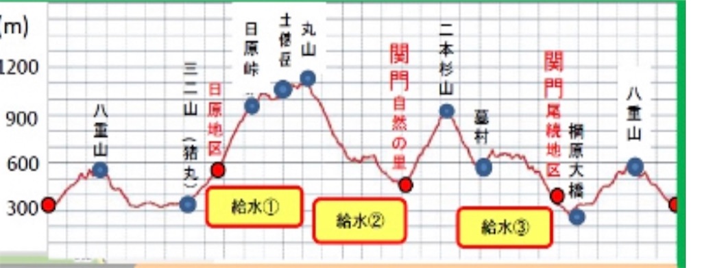 f:id:runningdiary:20190611114531j:image