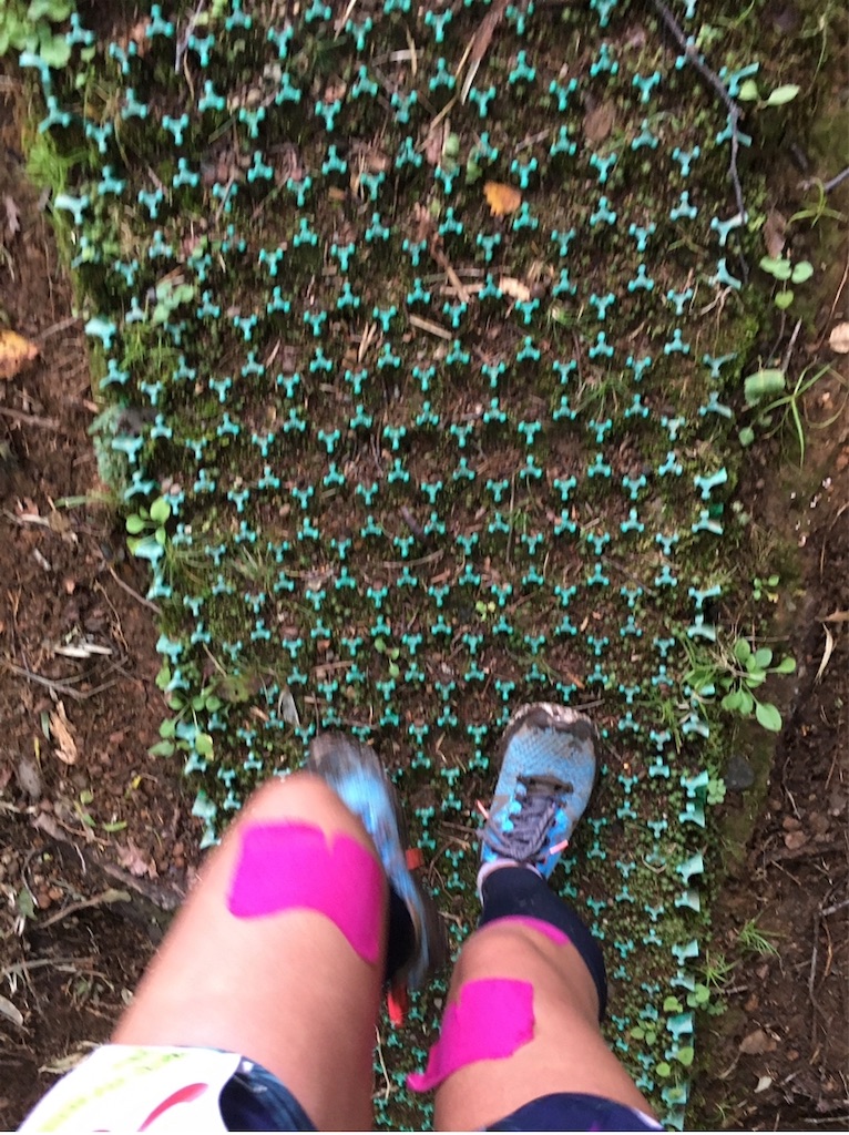 f:id:runningdiary:20190907135054j:image