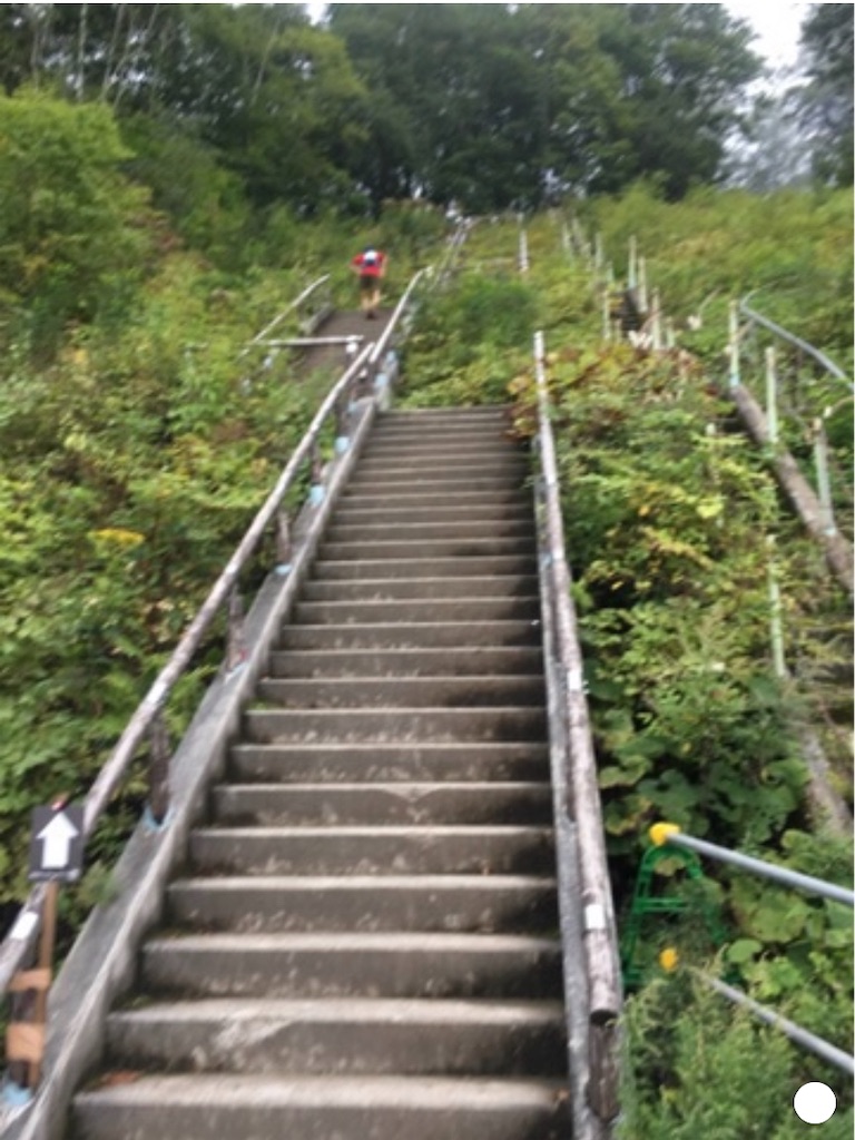 f:id:runningdiary:20190907140233j:image