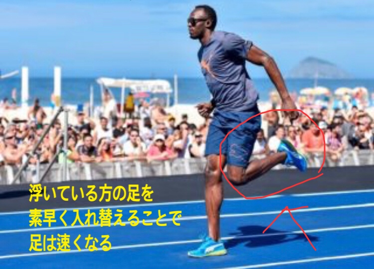 f:id:runningmantomi:20181122014859j:plain