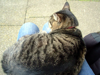 f:id:runningwater:20161205212300j:plain