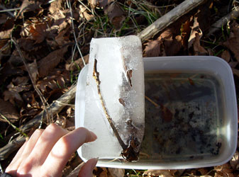 f:id:runningwater:20161218235054j:plain