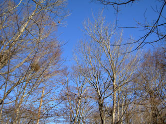 f:id:runningwater:20161218235117j:plain