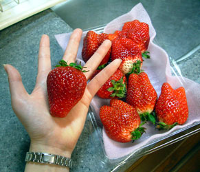 f:id:runningwater:20170122030023j:plain f:id:runningwater:20170122030023j:plain