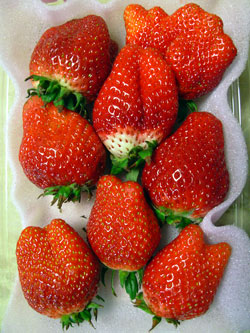 f:id:runningwater:20170122030100j:plain f:id:runningwater:20170122030100j:plain