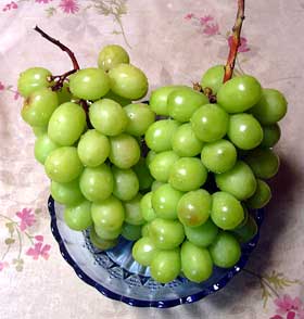 f:id:runningwater:20180919014523j:plain