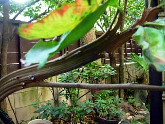 f:id:runningwater:20181113024815j:plain f:id:runningwater:20181113024815j:plain