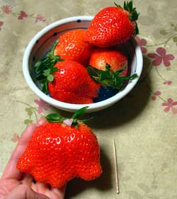 f:id:runningwater:20190224034046j:plain