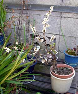 f:id:runningwater:20190224034210j:plain