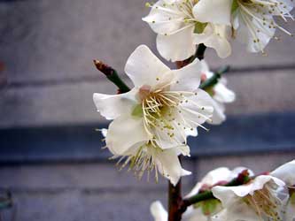 f:id:runningwater:20190224034225j:plain