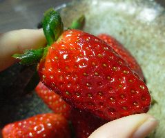 f:id:runningwater:20210306173612j:plain