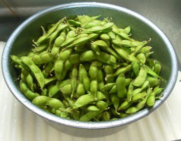 f:id:runningwater:20210912132210j:plain