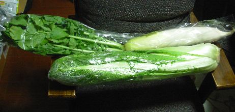 f:id:runningwater:20211103014114j:plain