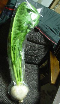 f:id:runningwater:20211107181022j:plain