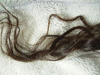 f:id:runningwater:20211204122019j:plain