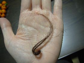 f:id:runningwater:20211204122417j:plain