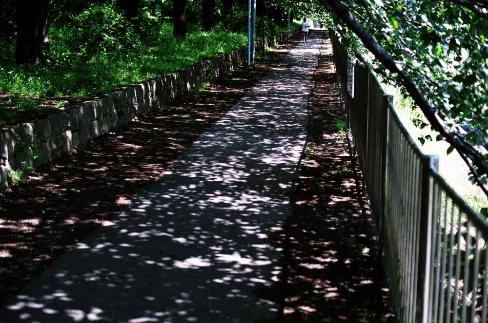 f:id:runout10m:20080315123244j:image:w500