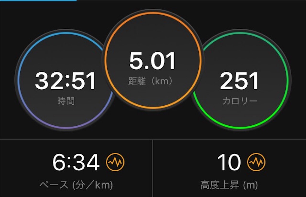 f:id:runpanda:20170126062347j:image f:id:runpanda:20170126062347j:image