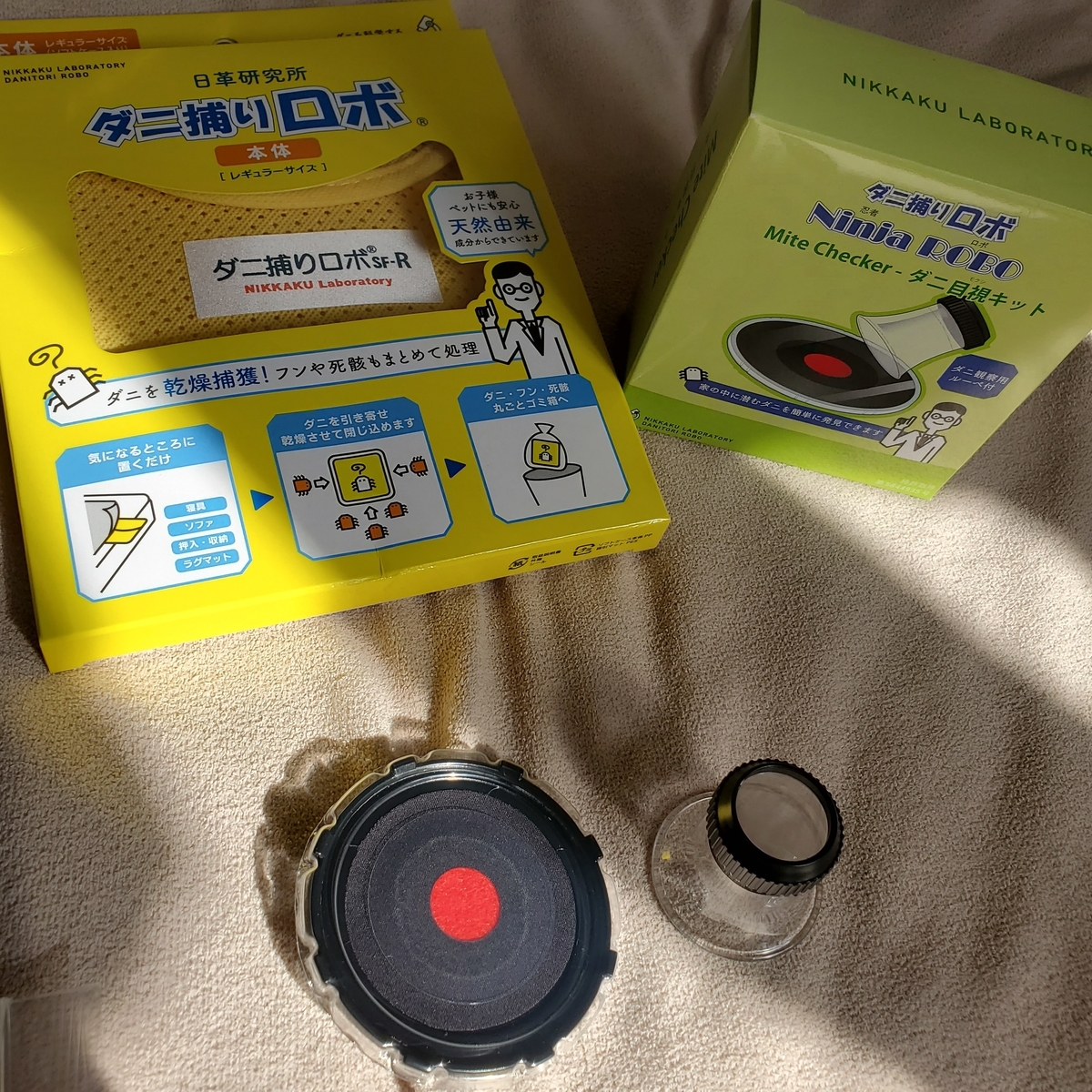 f:id:runrun0v0happy:20190926193151j:plain