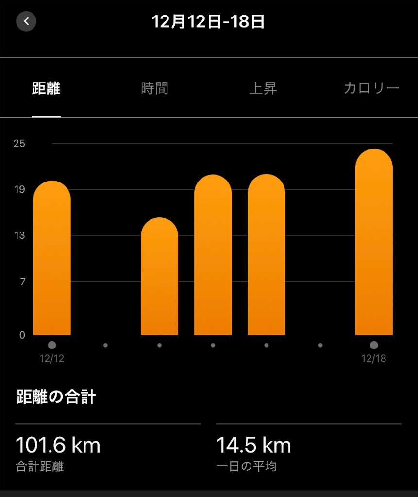 f:id:runrun40s:20221218223618j:image f:id:runrun40s:20221218223618j:image