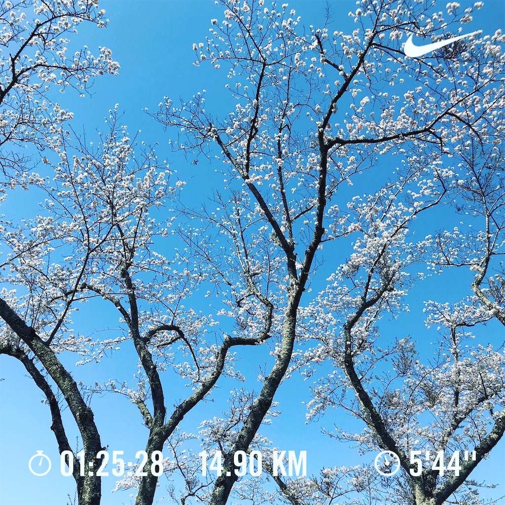 f:id:runrun_fun:20210408204755j:image f:id:runrun_fun:20210408204755j:image