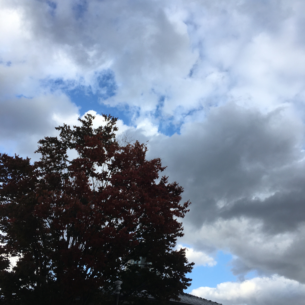 f:id:runsbit500:20210530141323j:plain