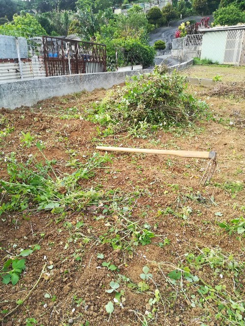 f:id:rupannzasann:20180327063040j:image f:id:rupannzasann:20180327063040j:image