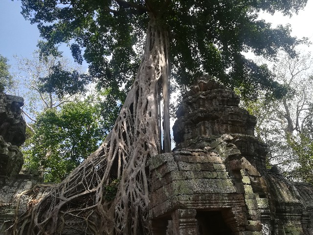 f:id:rupannzasann:20180506075814j:image