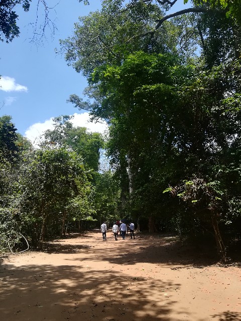 f:id:rupannzasann:20180506075838j:image