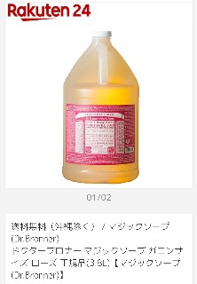 f:id:rupannzasann:20190128162006j:image