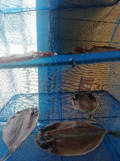 f:id:rupannzasann:20190312183816j:image f:id:rupannzasann:20190312183816j:image