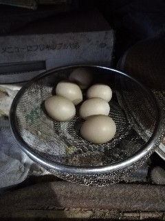 f:id:rupannzasann:20190405213558j:image