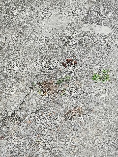 f:id:rupannzasann:20190428200658j:image f:id:rupannzasann:20190428200658j:image