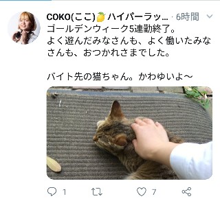 f:id:rupannzasann:20190507011530j:image