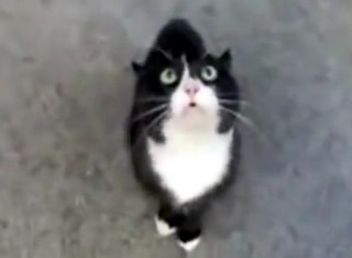 f:id:rupannzasann:20190630223910j:image f:id:rupannzasann:20190630223910j:image