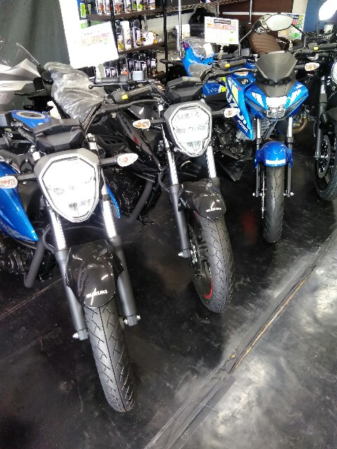 f:id:rupannzasann:20201214105110j:image f:id:rupannzasann:20201214105110j:image