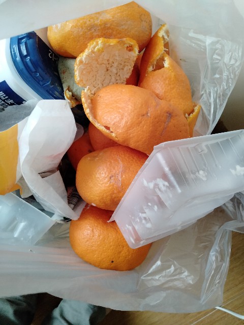 f:id:rupannzasann:20210401201912j:image f:id:rupannzasann:20210401201912j:image