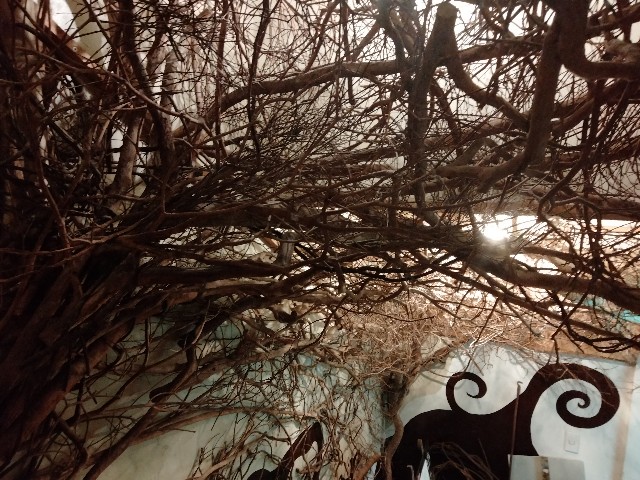 f:id:rupannzasann:20221010143209j:image f:id:rupannzasann:20221010143209j:image